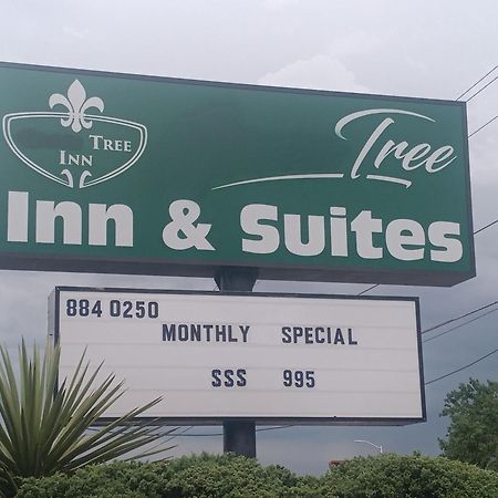 Tree Inn & Suites Альбукерке Экстерьер фото